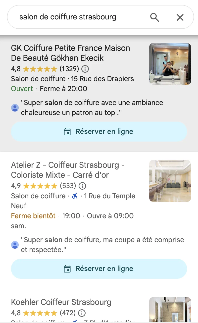 seo local strasbourg google maps